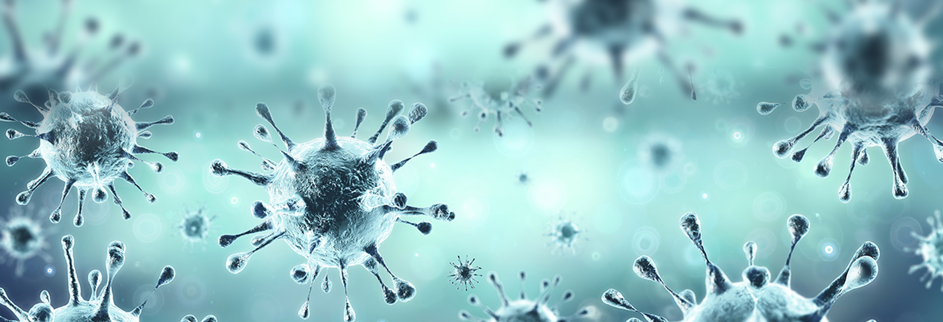 Koronavirus Příbram